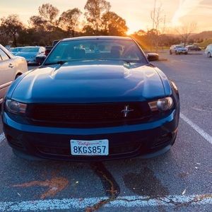 Meet your Posher, Leon